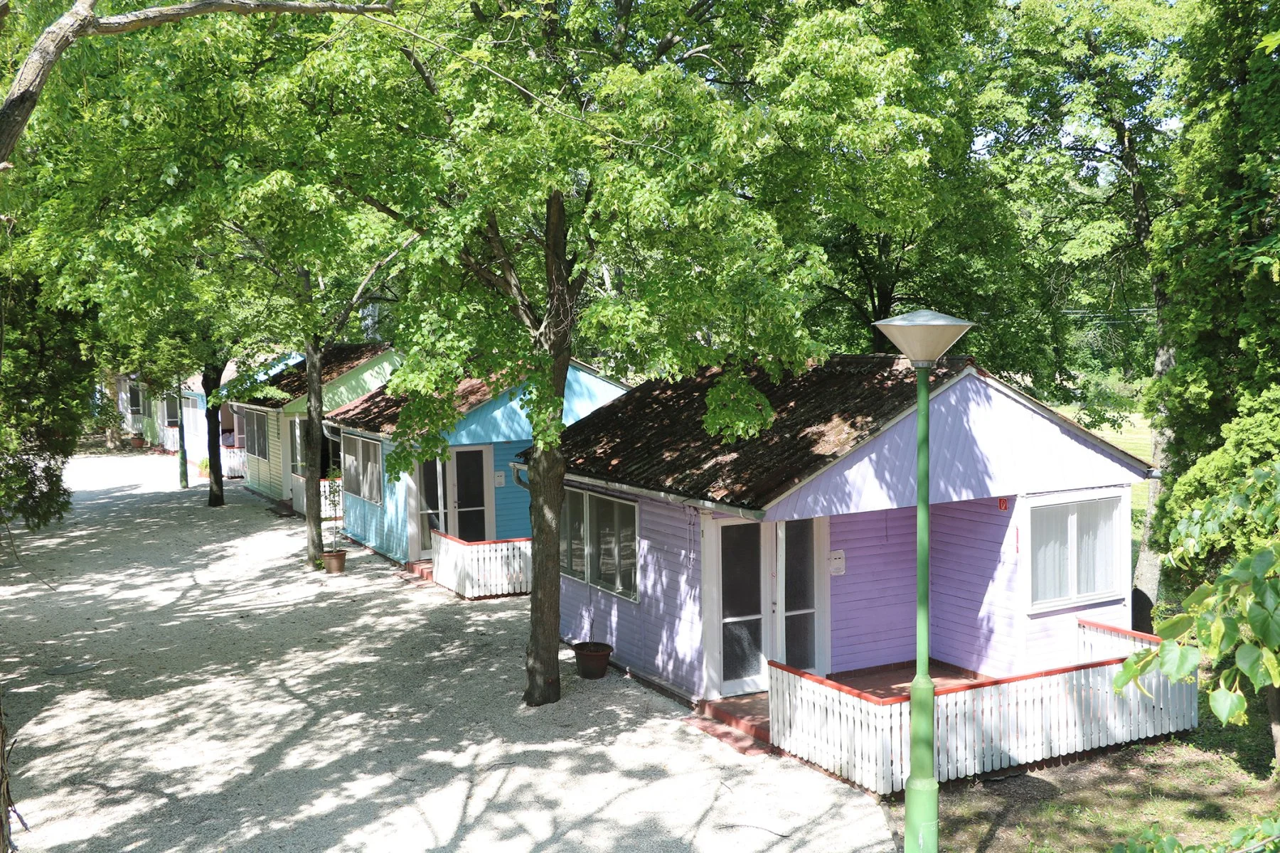Bunte Tulipán-Bungalows unter alten Bäumen